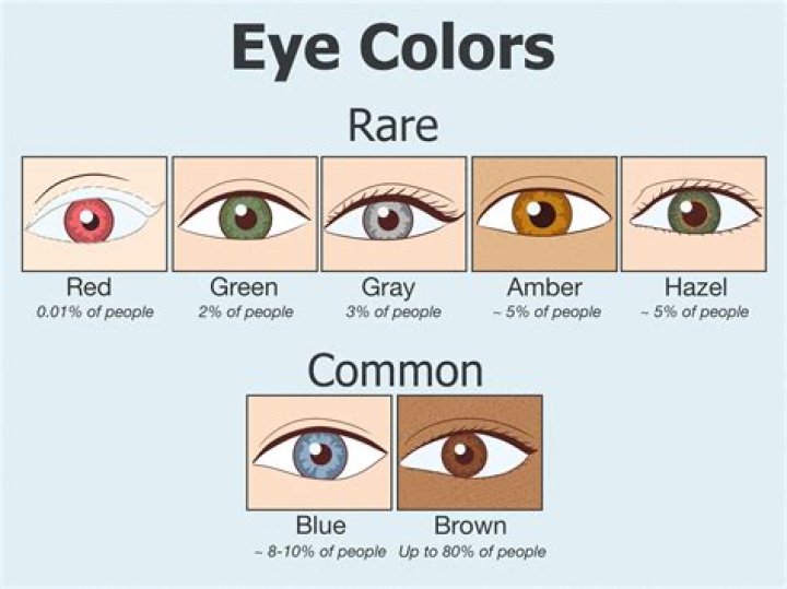 What color is the rarest eye color?