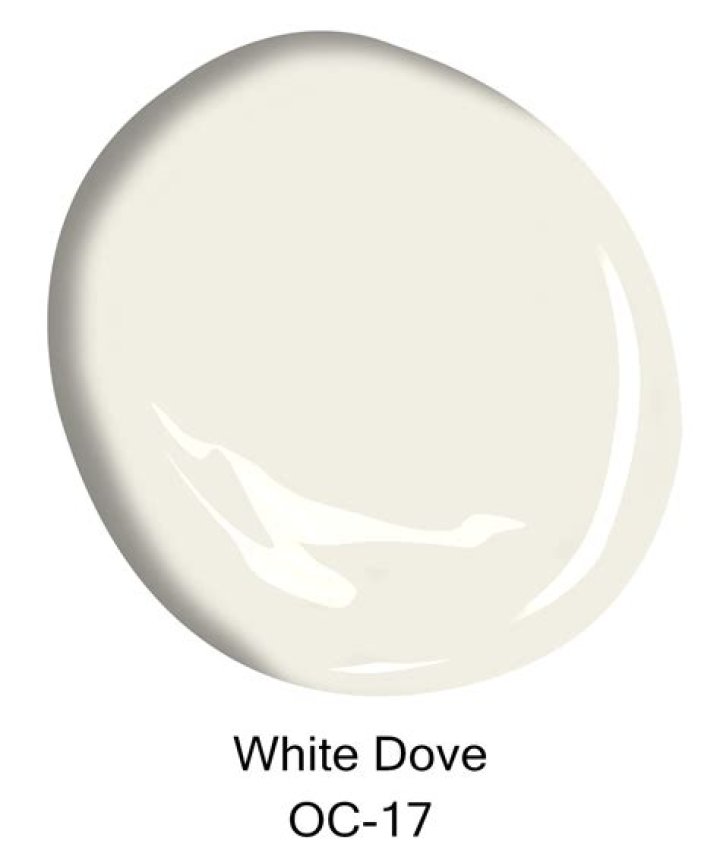 What colour is dove white?