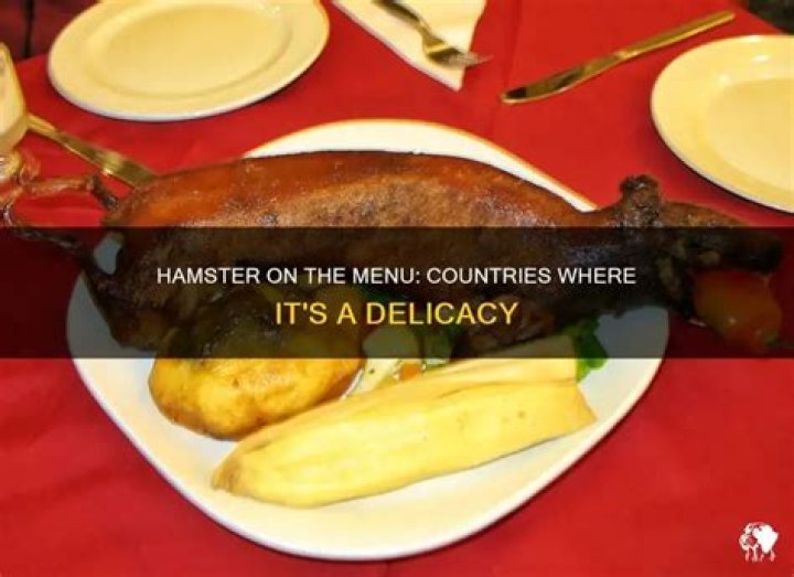 What country eats hamster?