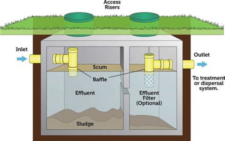 What destroys a septic system?