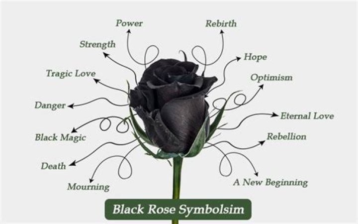 What do black roses mean?