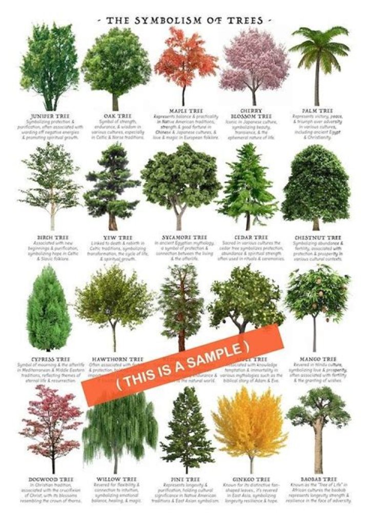 What do colored bands on trees mean?