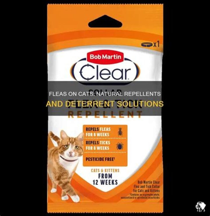 What do fleas hate on cats?