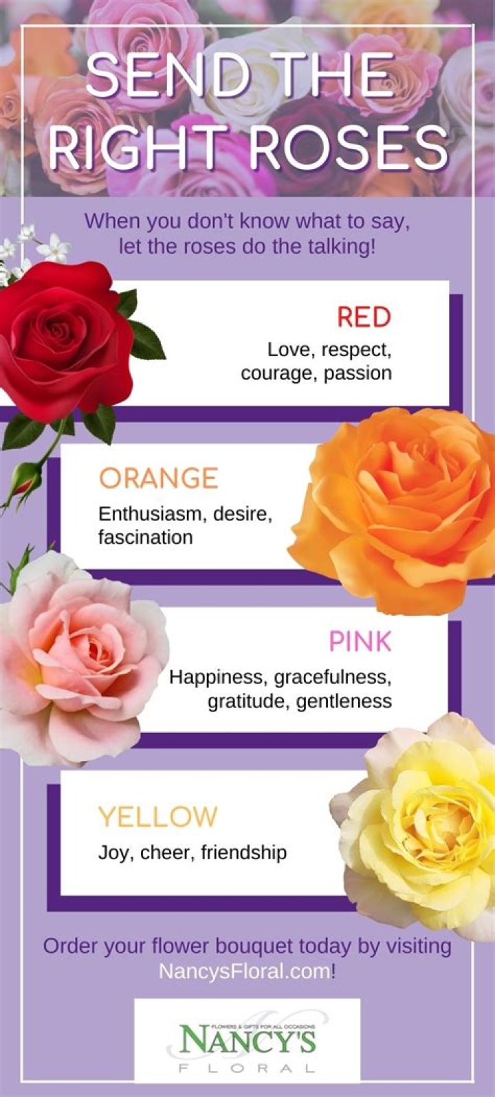 What do orange roses mean?