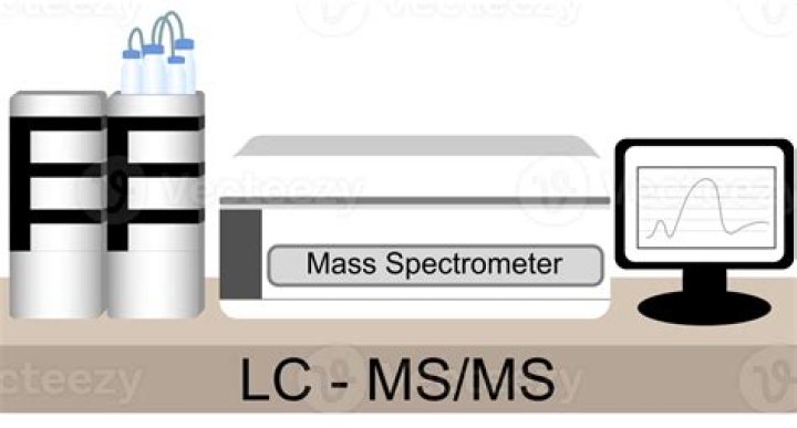 What do the MS in M&Ms stand for?