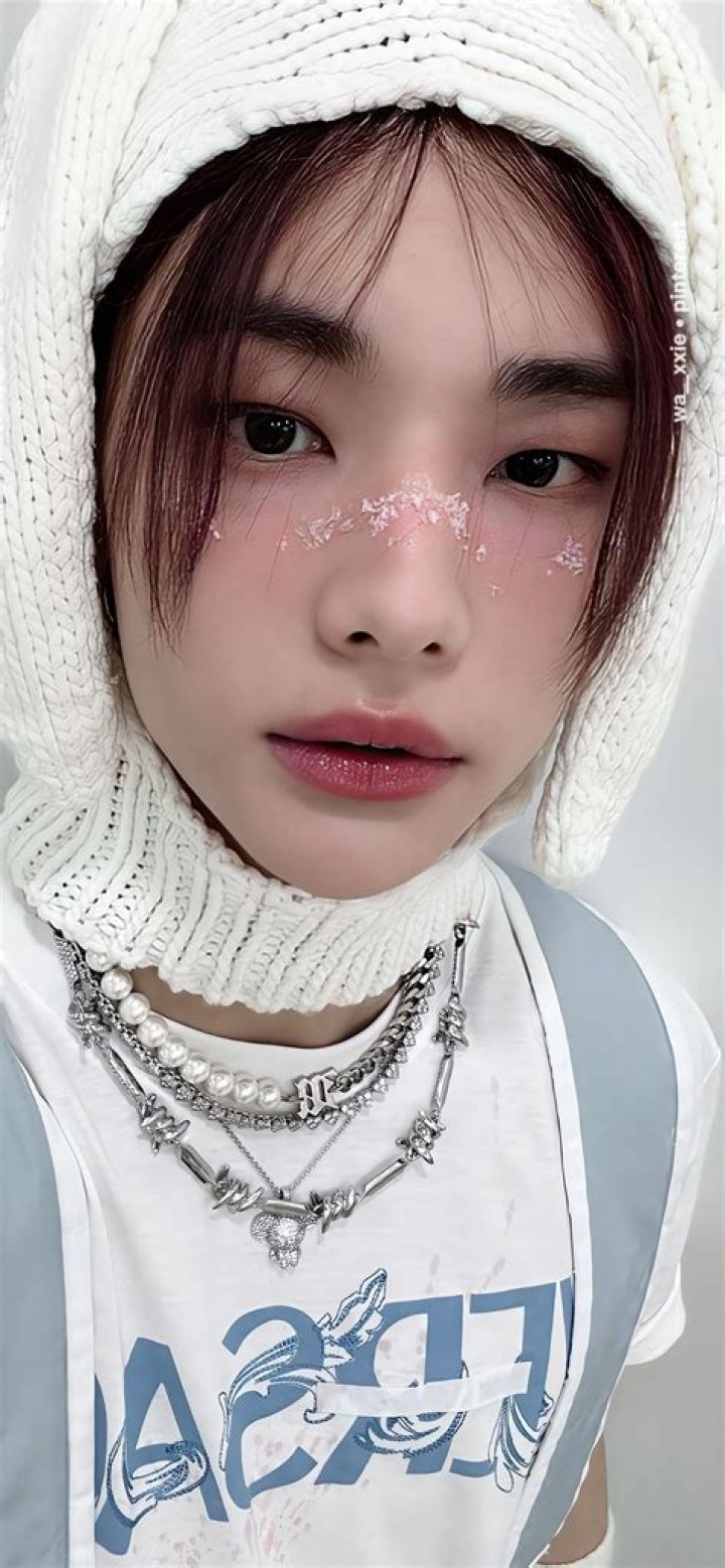 What do you call a hyunjin Stan?