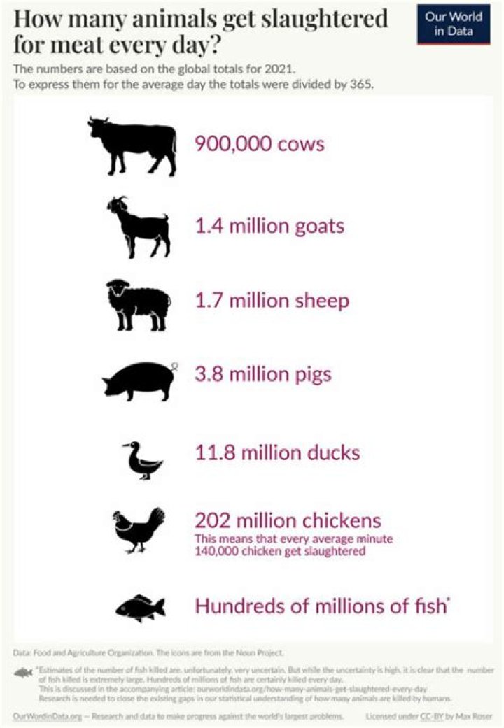 What do you call the body of the slaughtered animal?