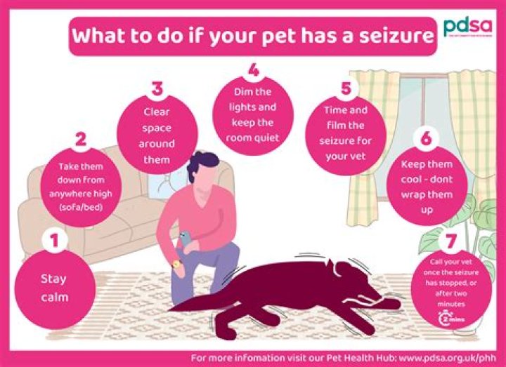 What do you do after a first seizure?