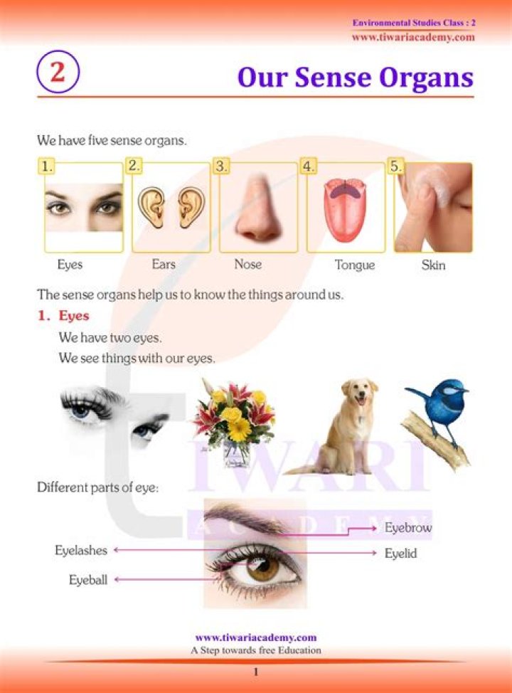 What do you do with virgin hair?