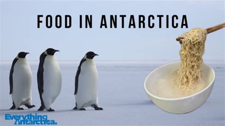 What do you eat in Antarctica?