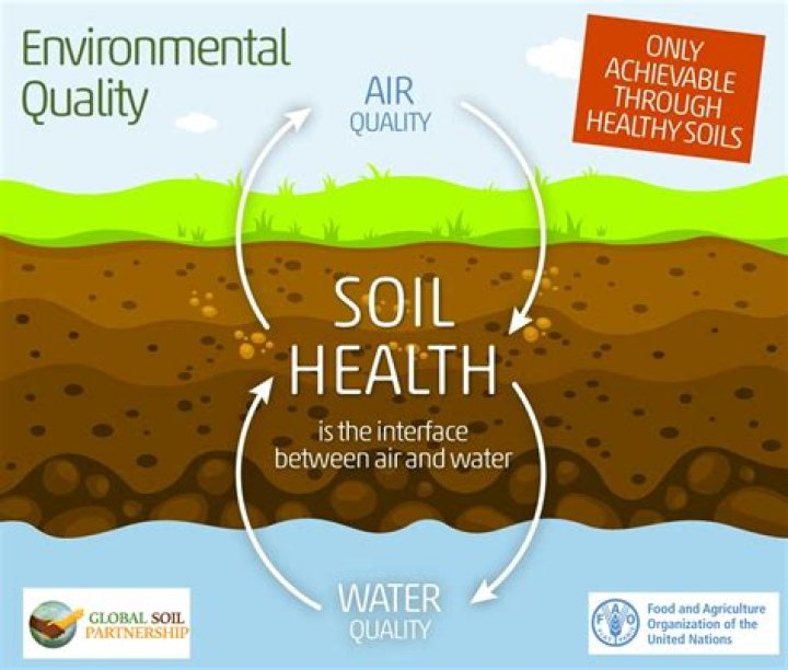 What do you need for healthy soil?