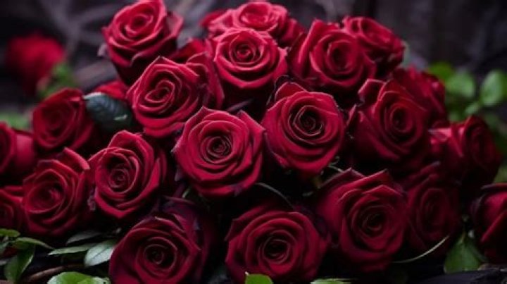 What does 5 red roses mean?