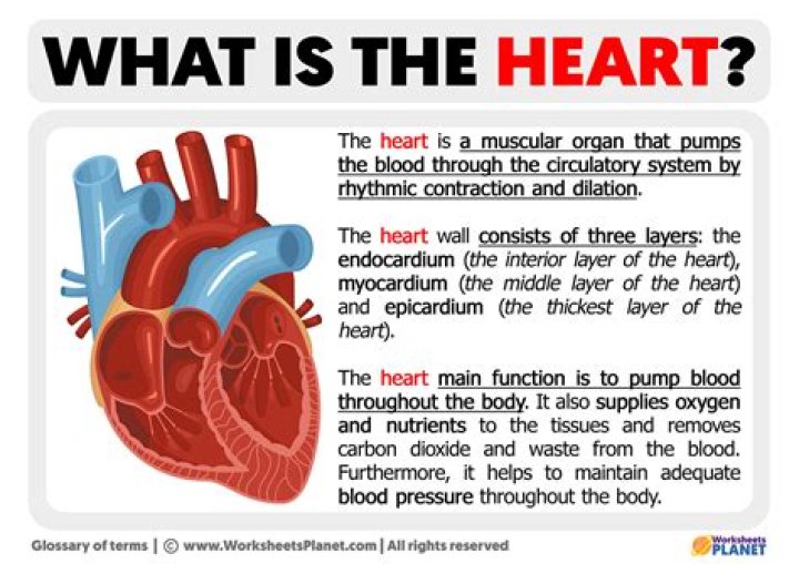 What does a heart taste like?