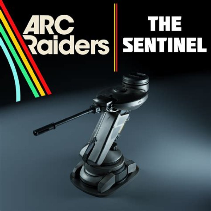 What does a sentinel look like?