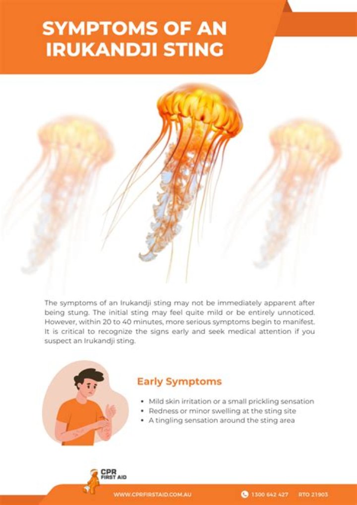 What does an Irukandji sting feel like?