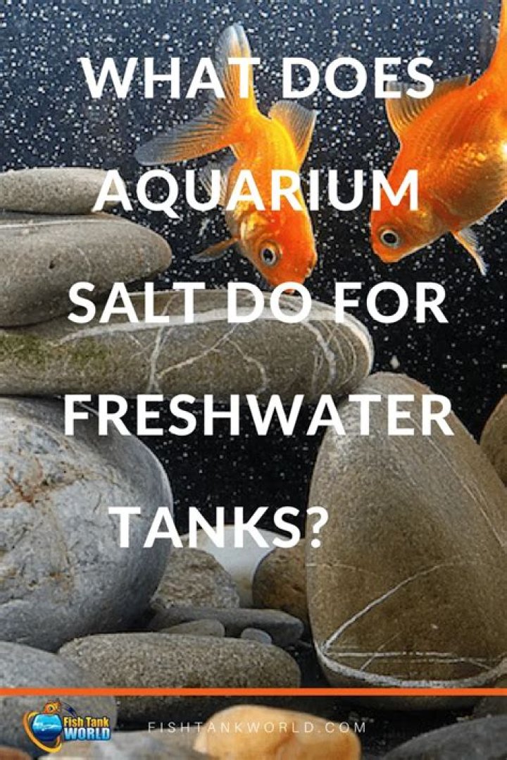 What does aquarium salt do?