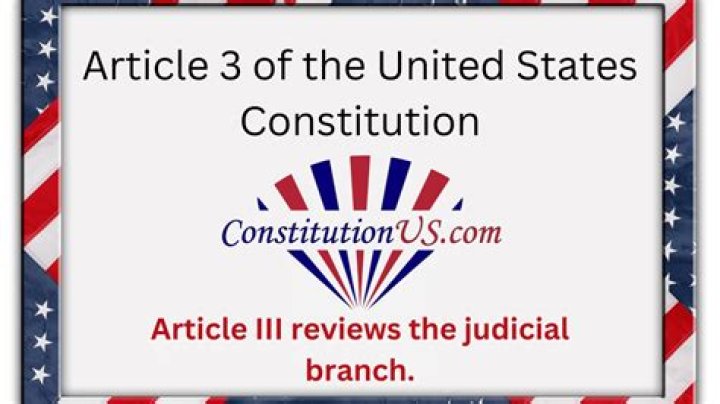 What does Article 3 of the Constitution do?
