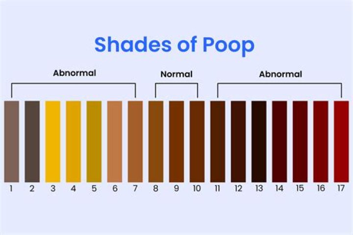 What does brown liquid poop mean?