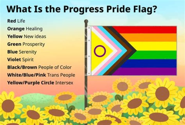 What does Brown mean on a flag?