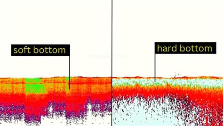 What does hard bottom look like on sonar?