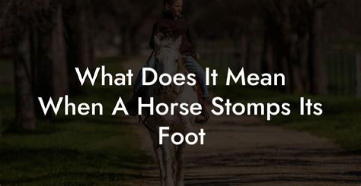 What does it mean when a horse touches you with its nose?