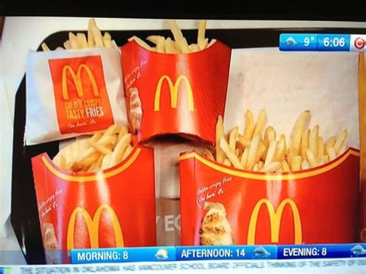 What does McDonalds fry their fries in?