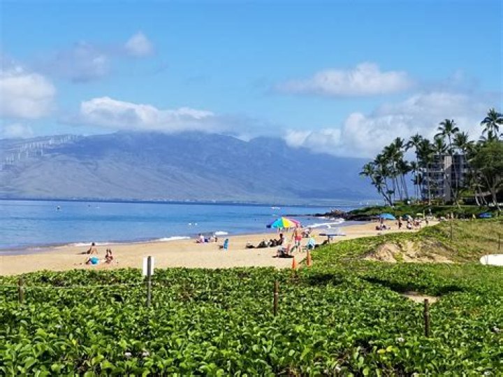 What does No Ka Oi mean in Hawaii?