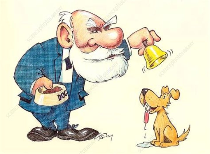 What does Pavlov mean?