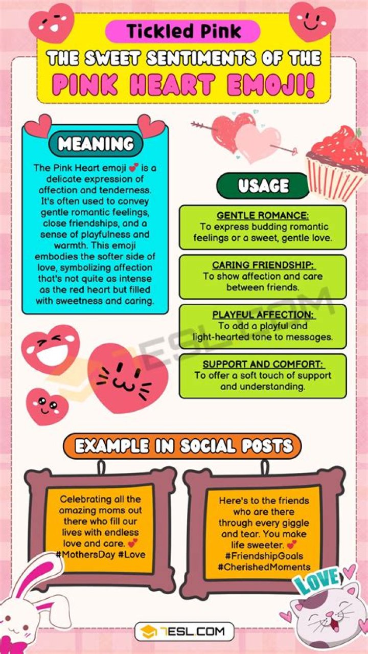 What does pink Coat do?