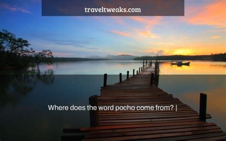 What does Pocho mean?
