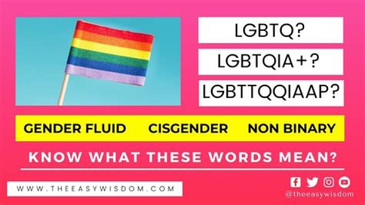 What does questioning mean in Lgbttqqiaap?