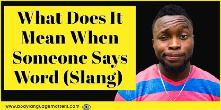 What does Stacy mean in slang?