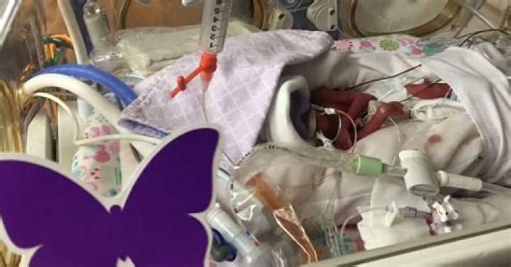 What does the purple butterfly on a baby's crib mean?