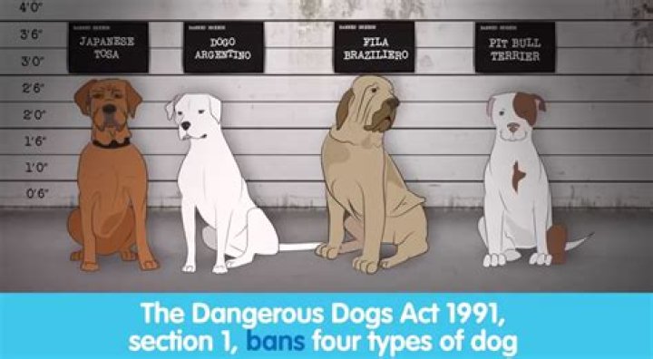 What dogs are illegal in the UK?