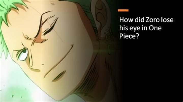 What episode does Zoro lose eye?