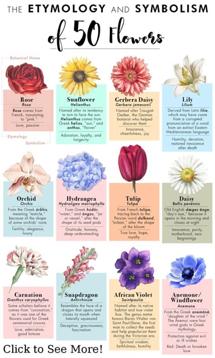 What flower symbolizes hope?