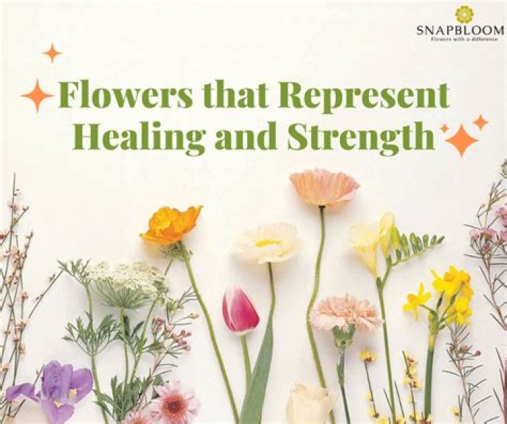 What flowers represent healing and strength?