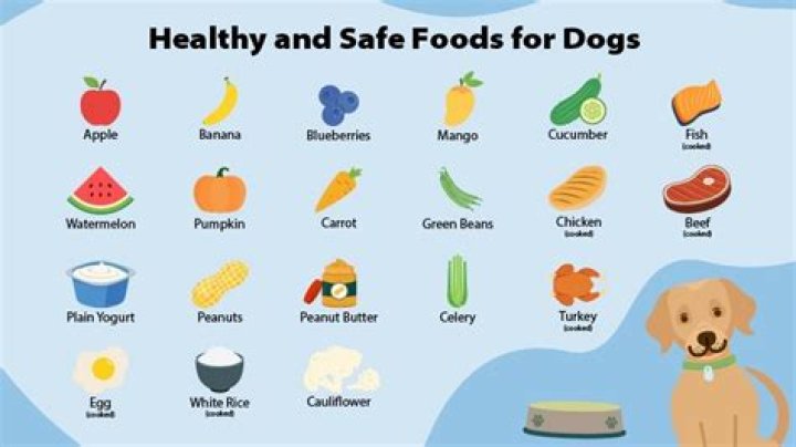What foods are good for dogs?