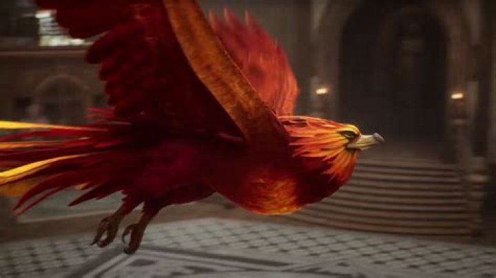 What happened to the Phoenix in Harry Potter?