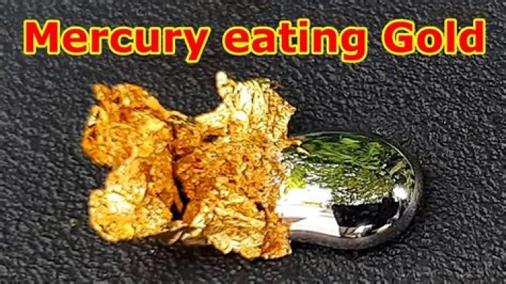 What happens if mercury falls on gold?
