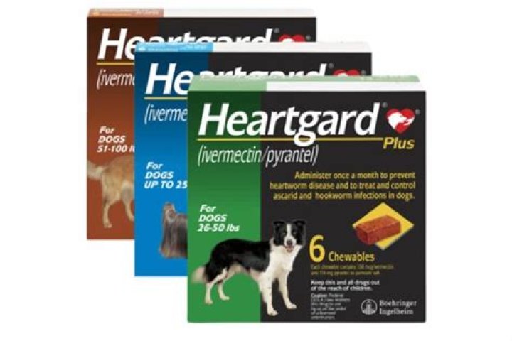 What happens if you don't give your dog heartworm pills?