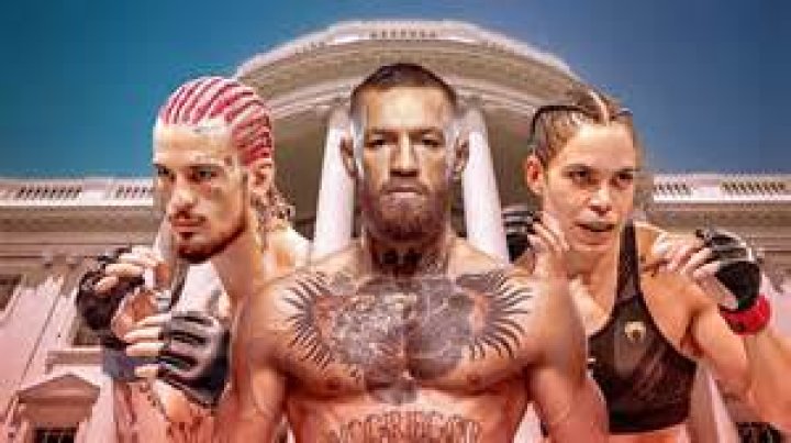 What happens if you fight in Dubai?