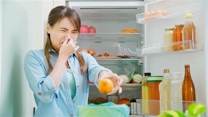 What happens if you turn a fridge on too soon?