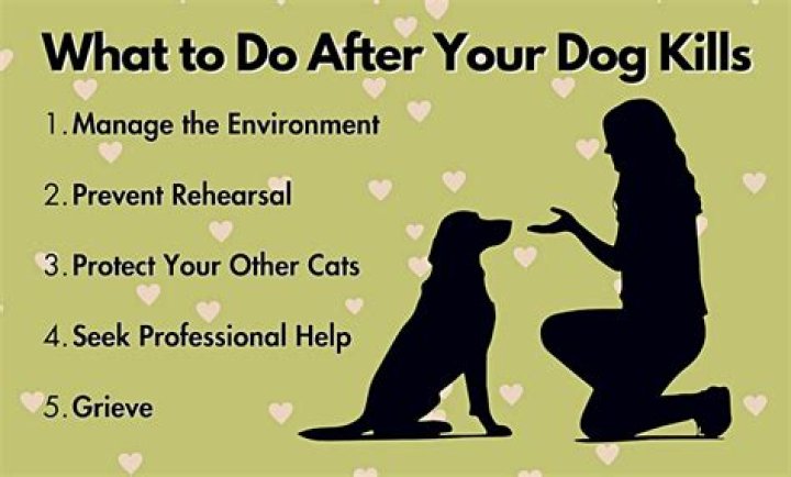 What happens if your dog kills a cat on your property UK?