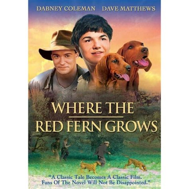 What happens in Chapter 14 of Where the Red Fern Grows?
