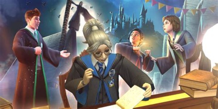What happens in year 7 of Hogwarts mystery?