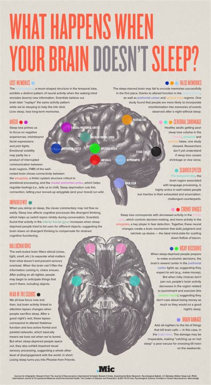 What happens to your brain when you curse?