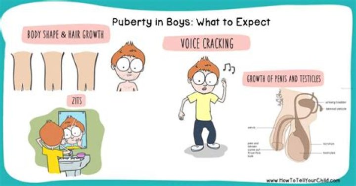 What happens when a boy hits puberty?
