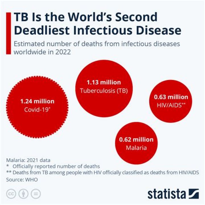 What Herb kills tuberculosis?