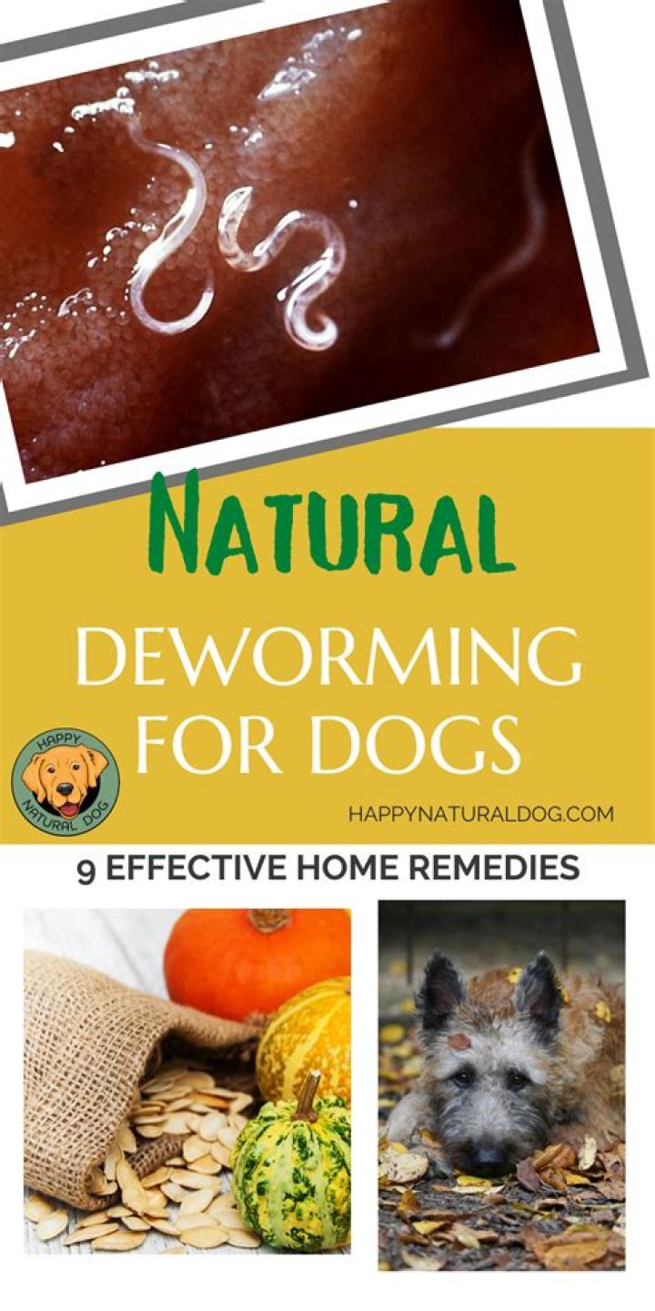 What home remedy can I use to deworm my puppy?